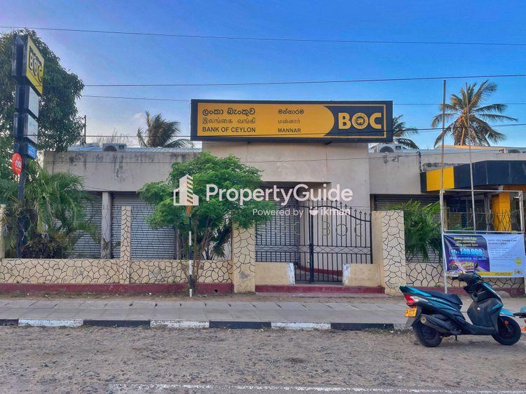 boc-mannar Image