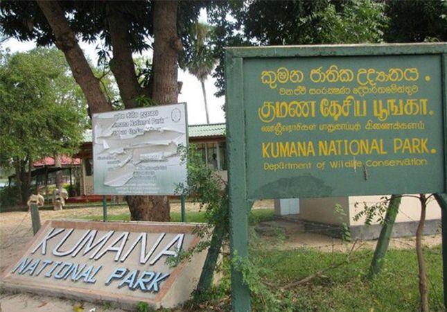 kumana-national-park படம்
