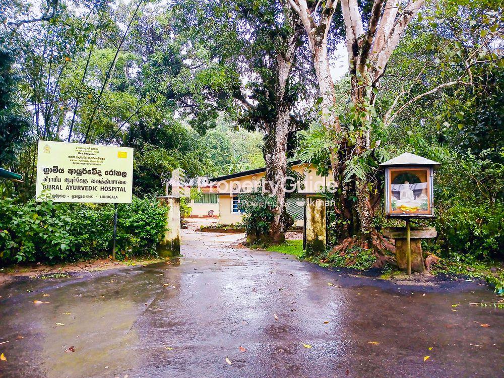 lunugala ayurveda hospital படம்