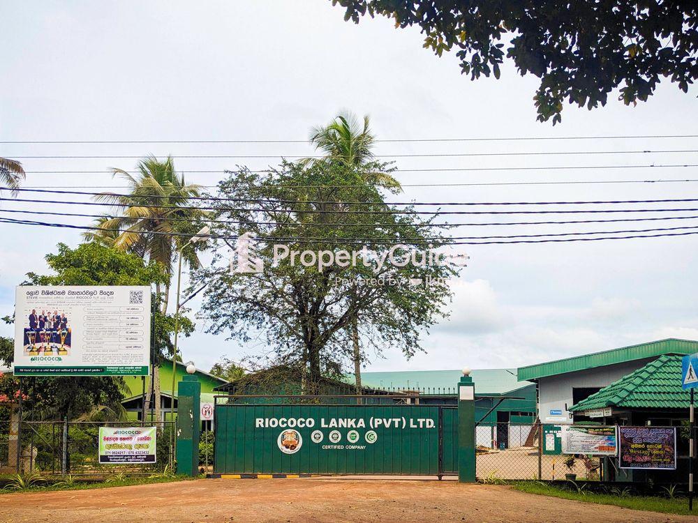 riococo lanka bamunakotuwa படம்