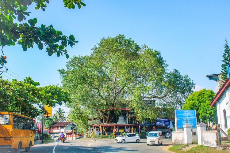 avissawella-junction Image