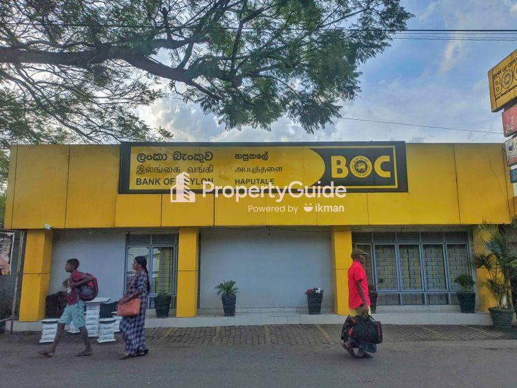 boc-haputale-branch ඡායාරූපය