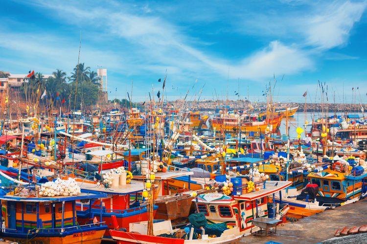 beruwala-fish-market Image