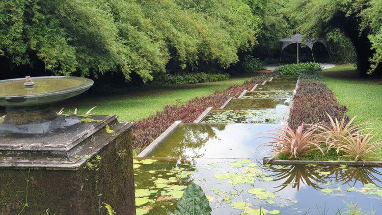 brief-garden-beruwala Image