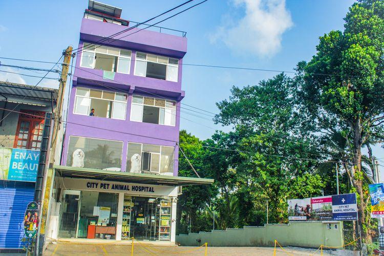 City Pet Animal Hospital Athurugiriya அதுருகிரிய city-pet-animal-hospital அதுருகிரிய