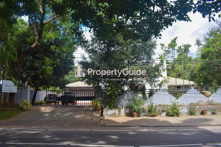 dambulla pradeshiya sabhawa படம்