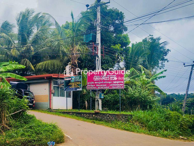 divisional secretariat pallepola படம்