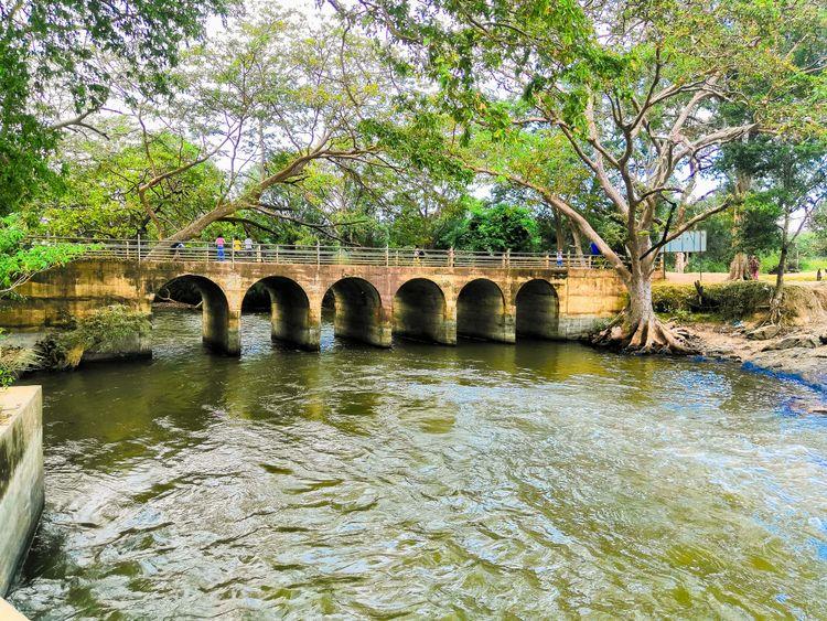 giant-s-lake-mannar படம்