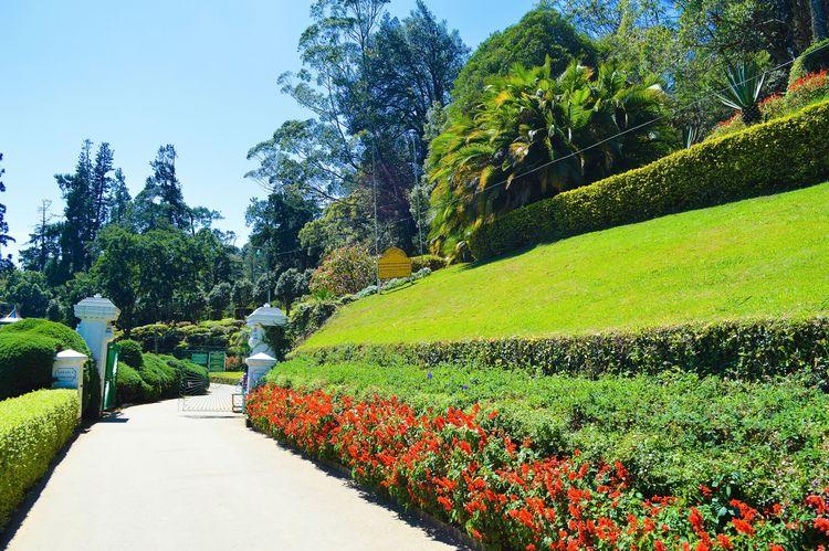 hakgala-botanical-gardens ඡායාරූපය