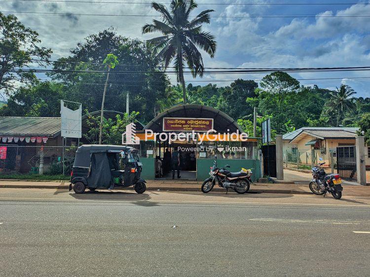 hela-bojun-hali-ela ඡායාරූපය