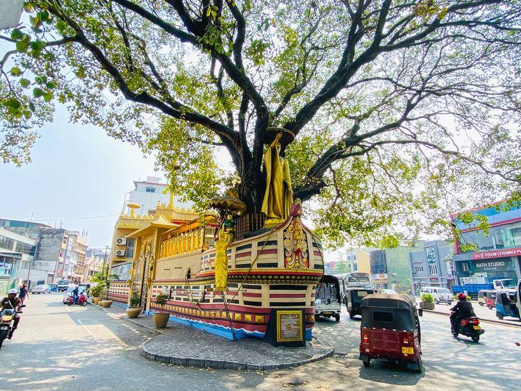 inguru-kade-junction Image