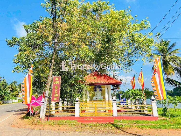 kamburugamuwa படம்