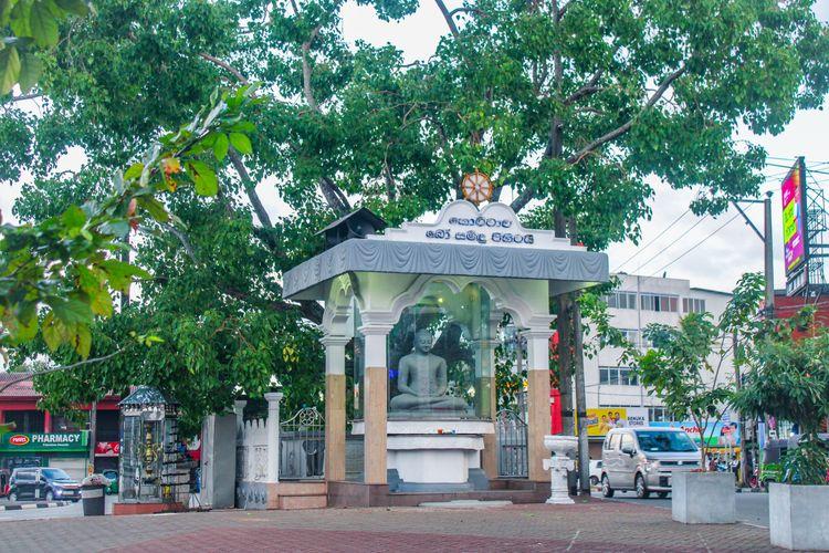 Kottawa Bodhi Tree.jpg கொட்டாவ kottawa-bodhi-tree கொட்டாவ