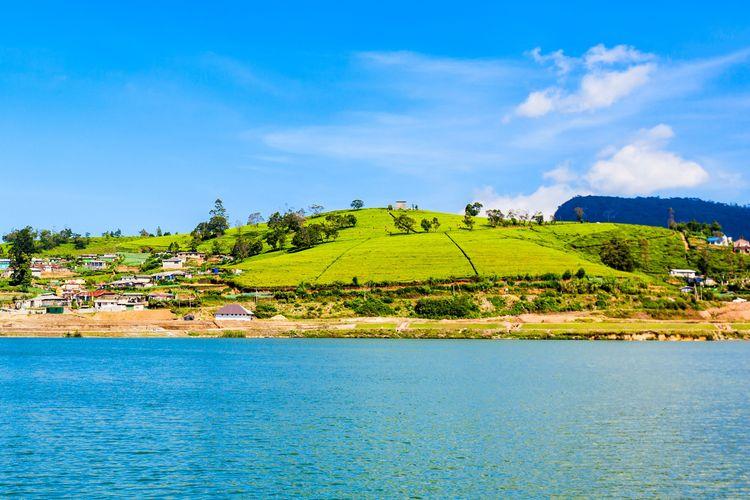 gregory-lake ඡායාරූපය