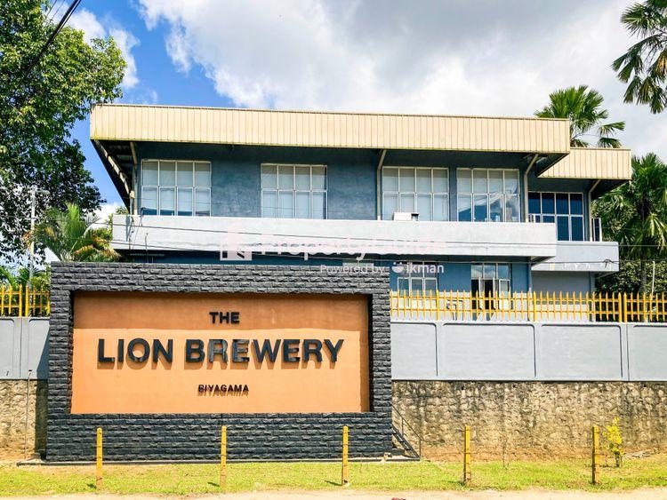 lion brewery biyagama படம்