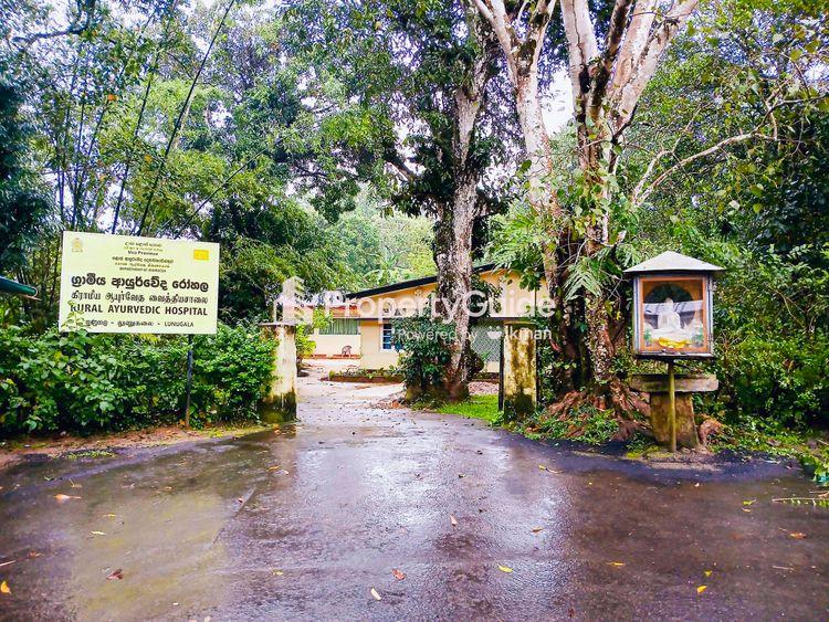 ලුණුගල Property Guide