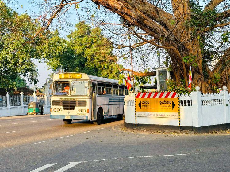 maharagama-bodhi-tree படம்