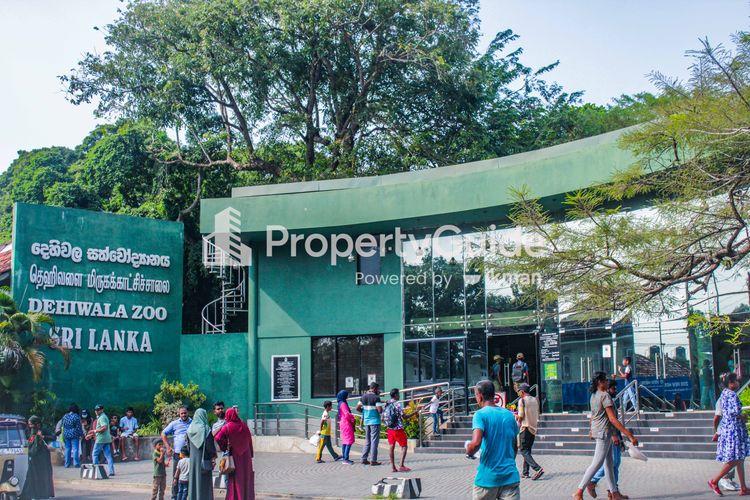 National Zoological Gardens தெஹிவளை dehiwala-zoo தெஹிவளை