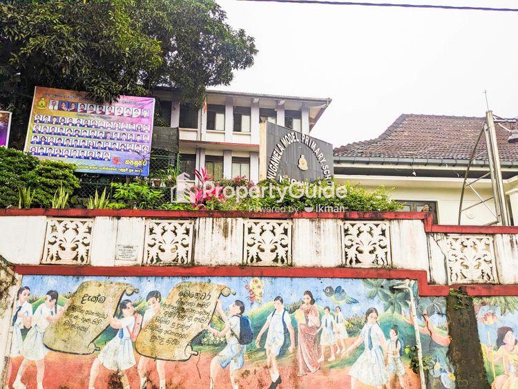 nugawela model primary school harispattuwa Image