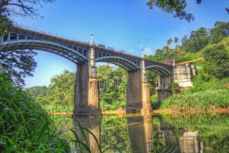 peradeniya-bridge Image