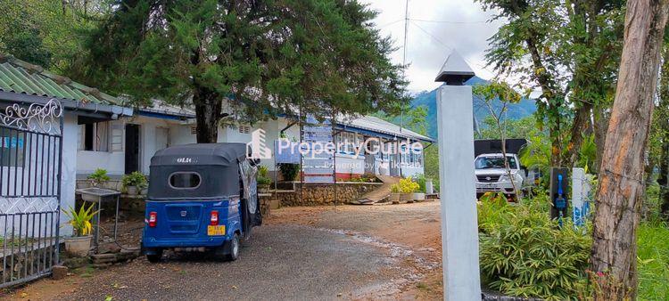 Haldummulla Property Guide