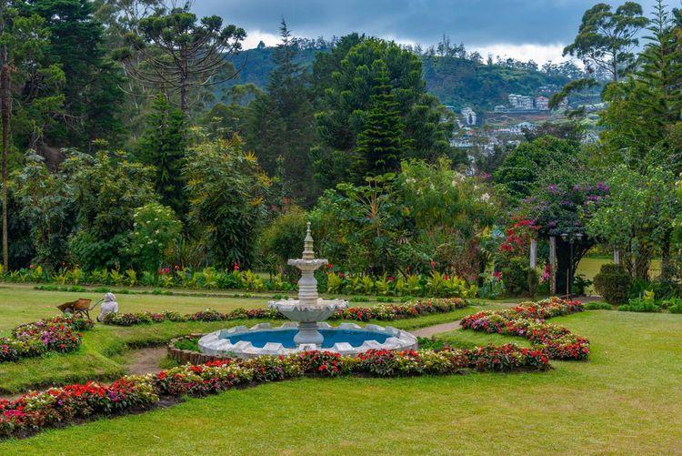 queen-victoria-park ඡායාරූපය