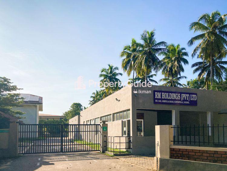 rm holdings katana படம்