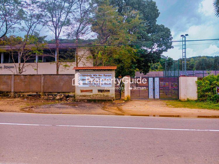 rideemaliyadda madya maha vidyalaya ඡායාරූපය