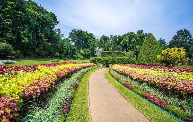 royal-botanical-gardens-peradeniya Image