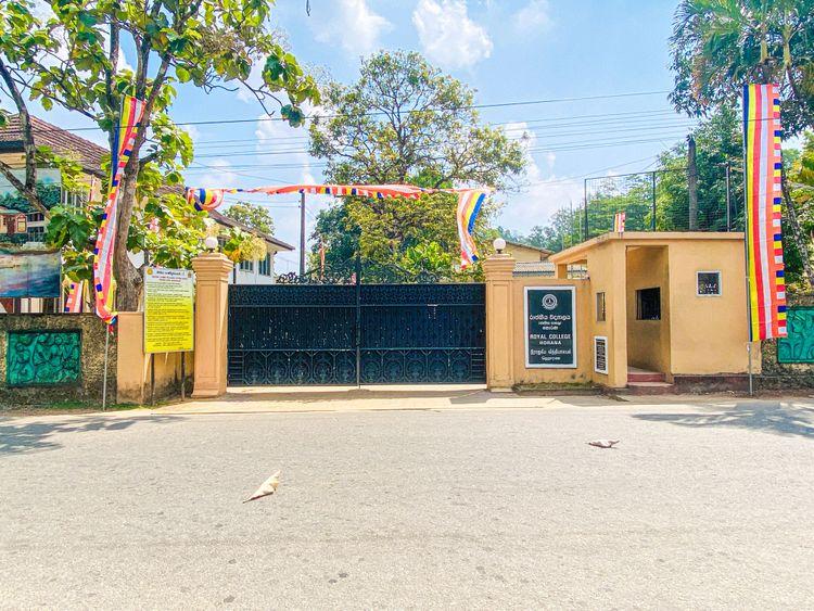 royal-college-horana Image