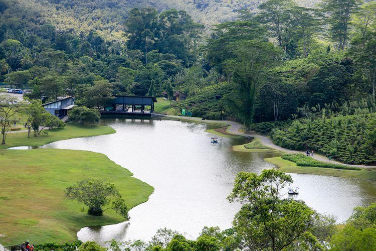 seethawaka-wet-zone-botanic-gardens Image