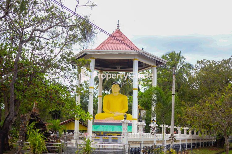 වනාතවිල්ලුව Property Guide