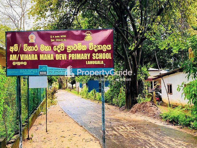 viharamahadevi primary college lahuagala Image