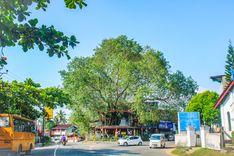 avissawella-junction Avissawella