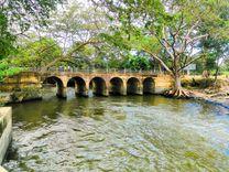 giant-s-lake-mannar மன்னார்