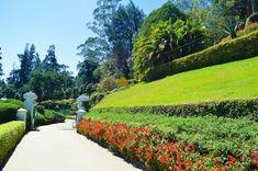 hakgala-botanical-gardens නුවරඑලිය