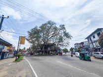 hanwella-bodhi-tree Hanwella