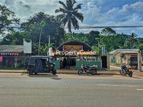 hela-bojun-hali-ela හාලි එල