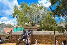 jaya-sri-maha-bodhiya Anuradhapura