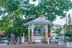 kottawa-bodhi-tree Kottawa