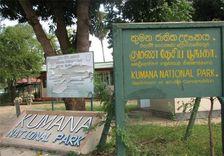 kumana-national-park அம்பாறை