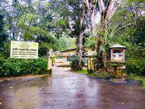 lunugala ayurveda hospital லுணுகலை