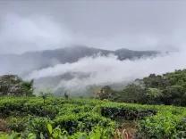 rakwana mountain இறக்குவானை