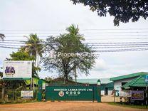 riococo lanka bamunakotuwa பமுணுகொடுவை