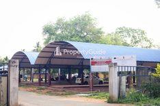 sathi-pola-galnewa கள்நெவ