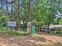 thanayama-wellawaya Wellawaya